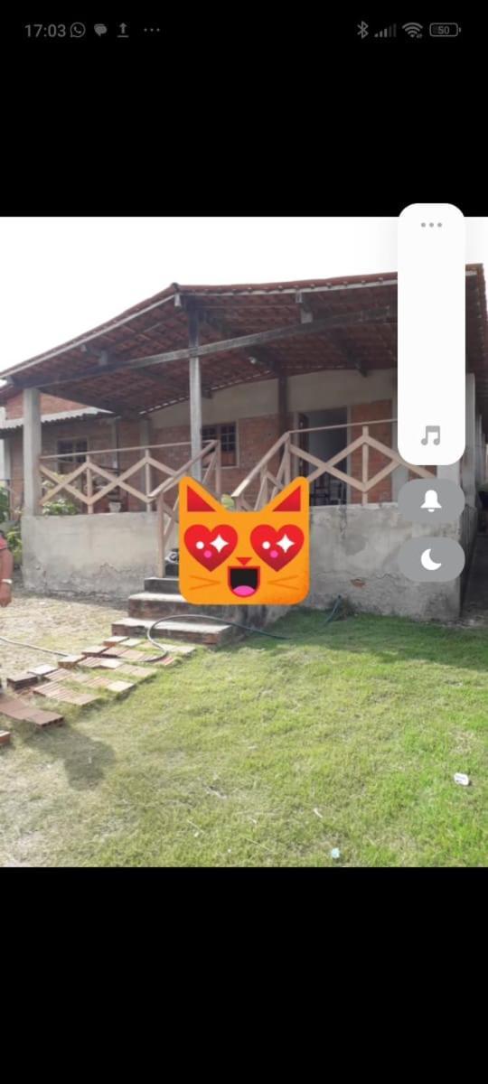 Girassol
